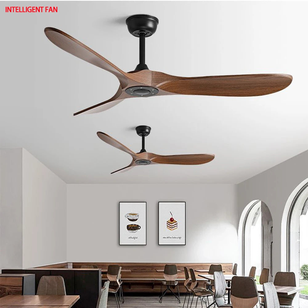 Modern Light | Bramble
