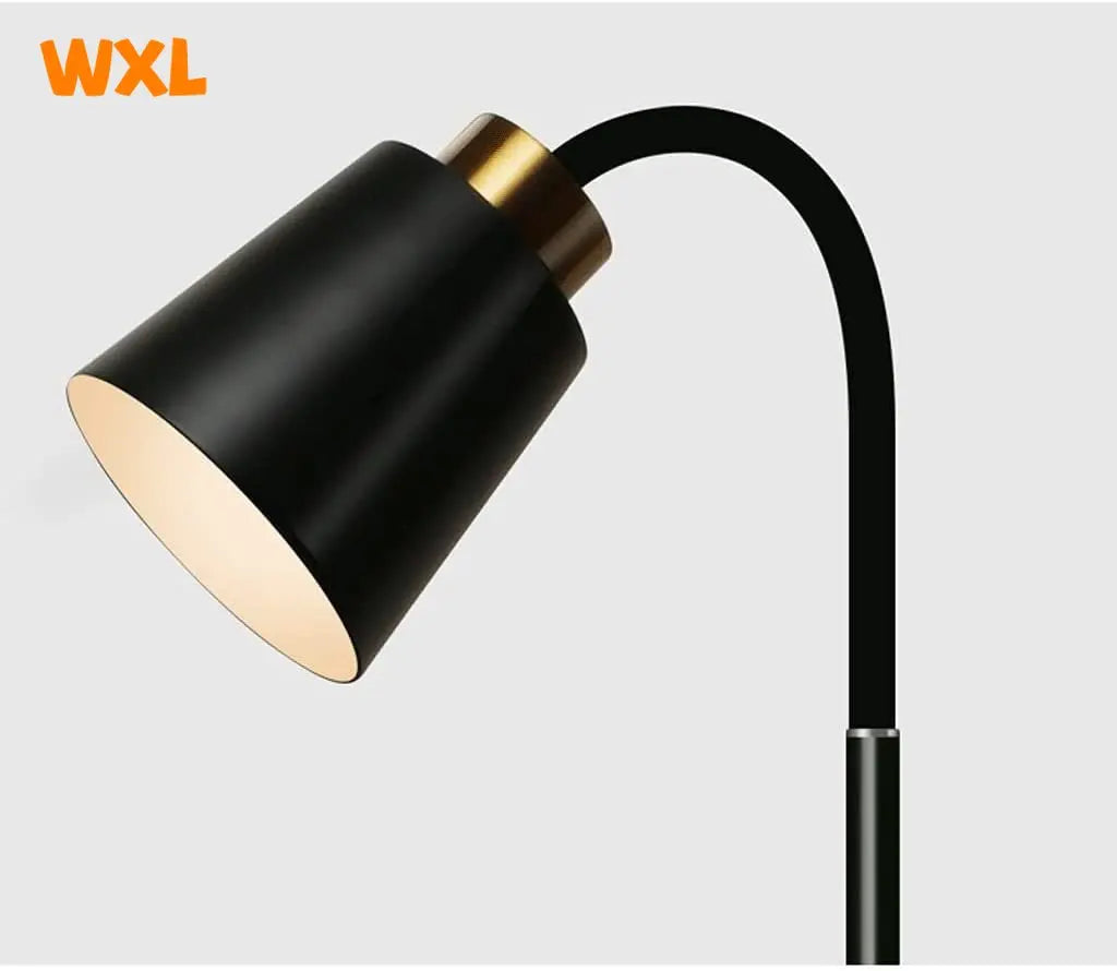 Minimalist Iron Floor Lamp | Furze Standing Light